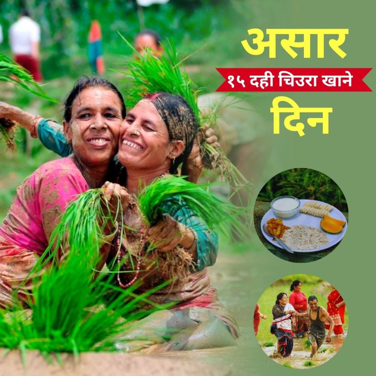 असार १५ : धान दिवस र दही चिउराको सांस्कृतिक पर्व मनाइँदै