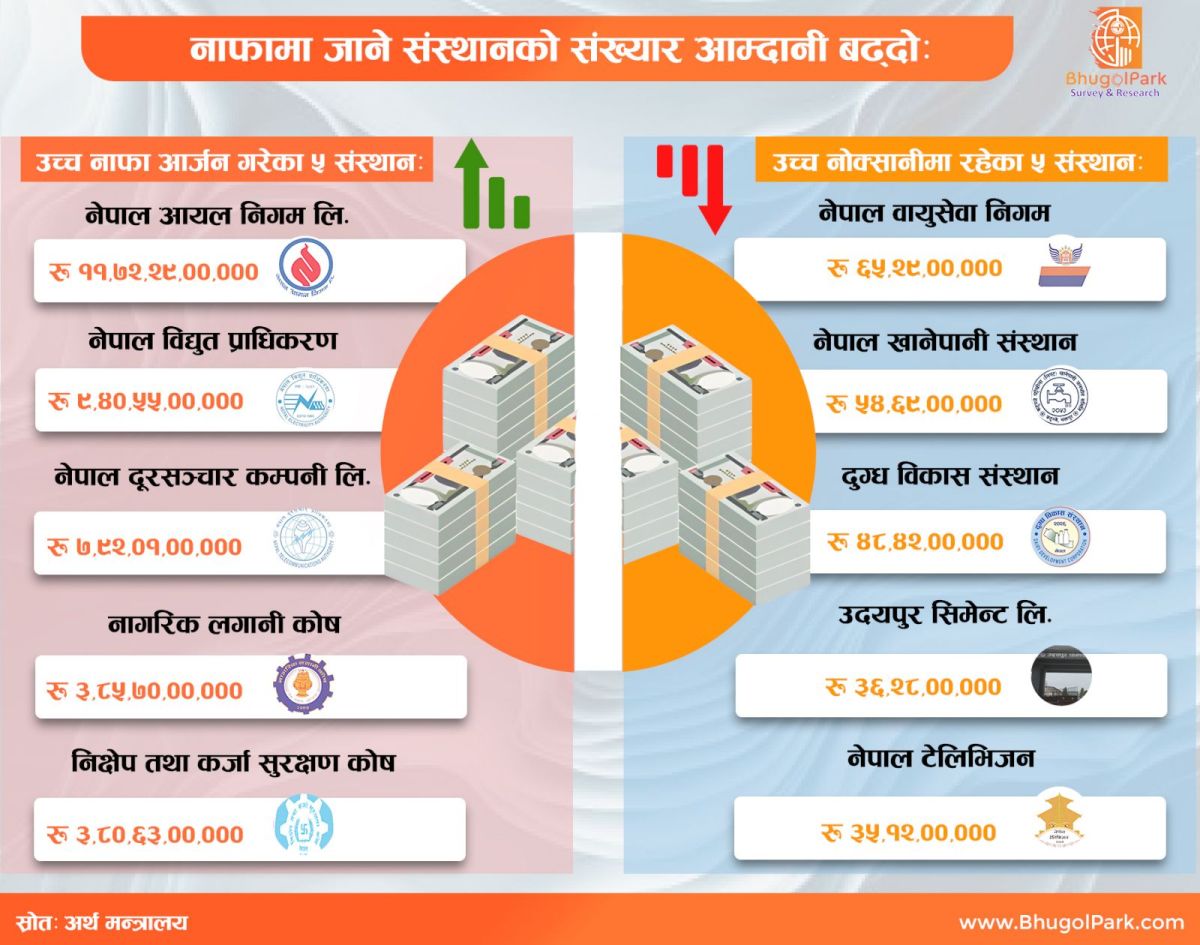 उच्च नाफा र घाटामा रहेका ५ संस्थान