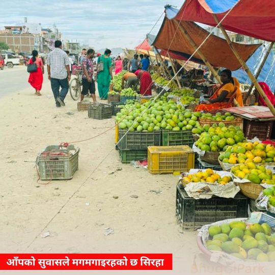 bhugolpark main trending