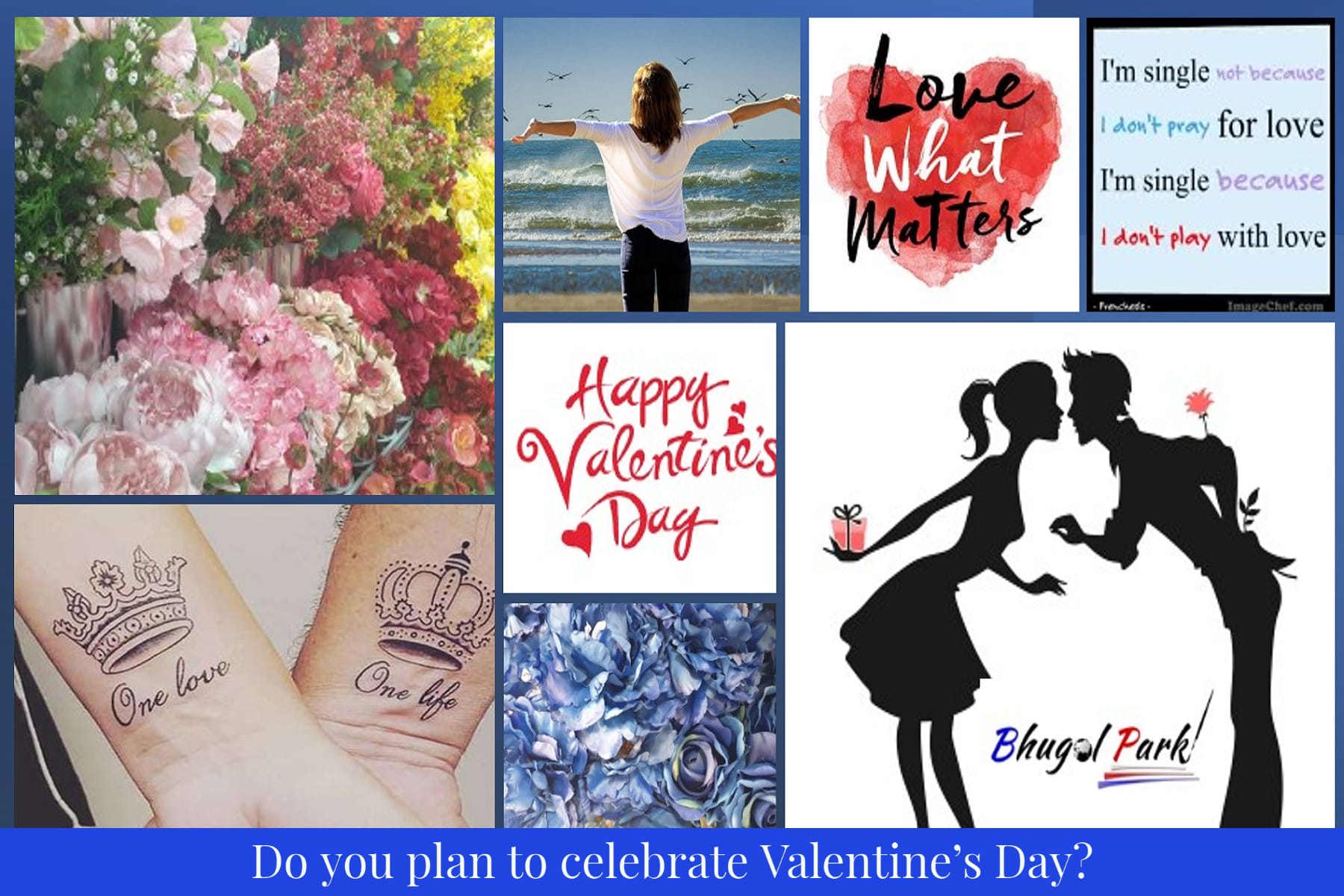 Do you plan to celebrate Valentine’s Day, the public opinion about it is as follows.